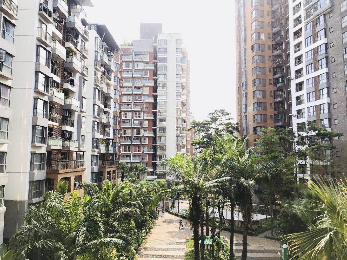 Details Shenzhen Rent,shekou,Expat Relocation,Real Estate,hotels