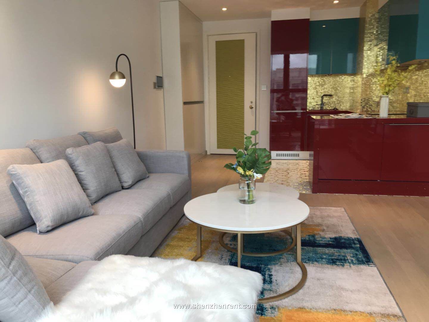 Shenzhen Rent,Sale,shekou,Expat Relocation,Real Estate,apartment,office